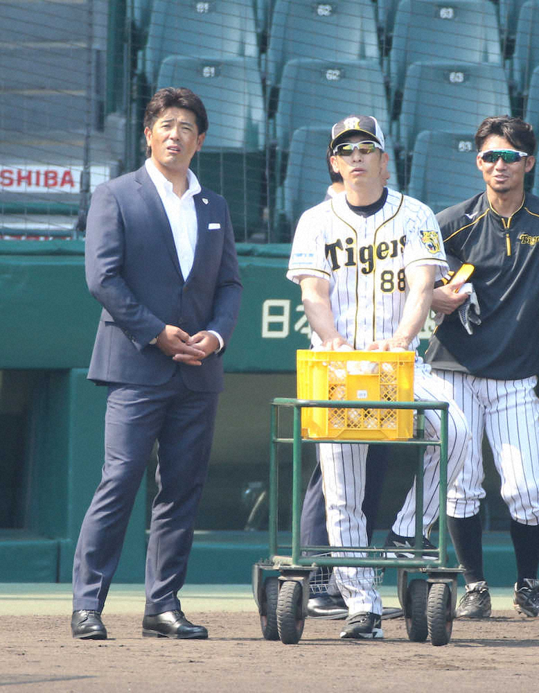 【画像・写真】侍JAPAN稲葉監督　阪神・梅野に高評価「去年に比べて成長している」