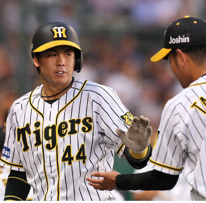 【画像・写真】4回、中越え本塁打を放ち、高橋遥（右）とタッチを交わす梅野（撮影・成瀬　徹）