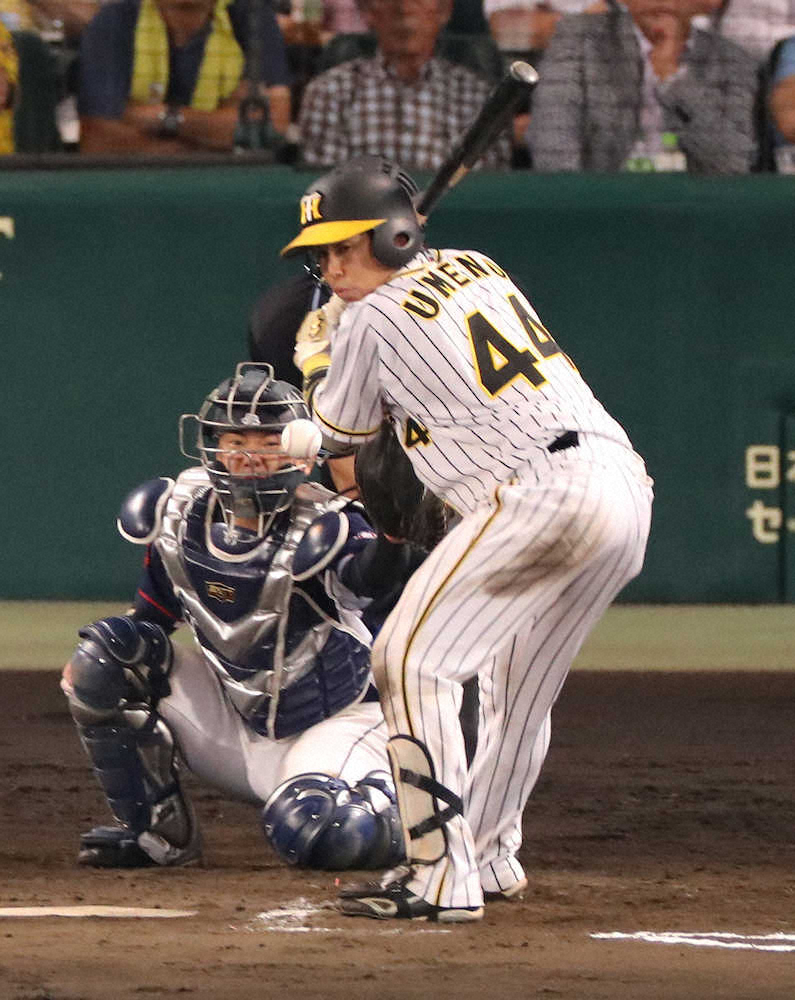 【画像・写真】【隠しマイク】阪神・梅野、押し出し死球で「アタタタタッ」