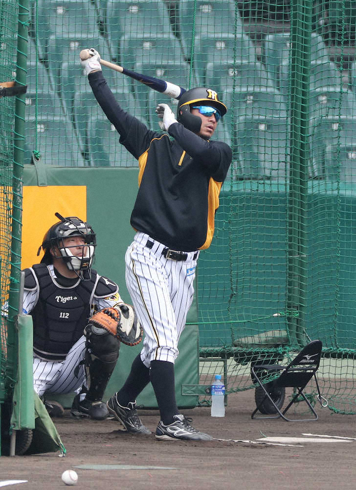 【画像・写真】阪神・鳥谷38歳の決意　代打でもがく今季「一つでも勝ちに貢献できるように」