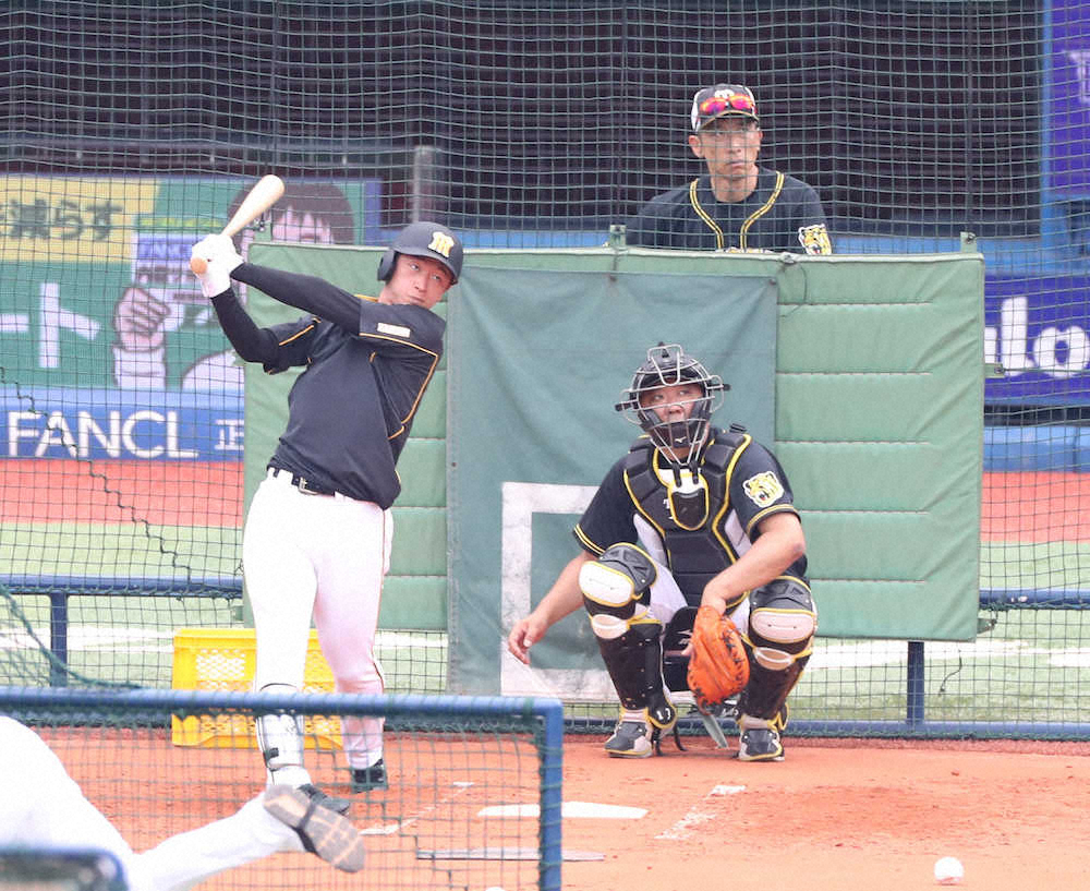【画像・写真】矢野阪神　スタメン大変革　近本外すなど前日から4人入れ替え