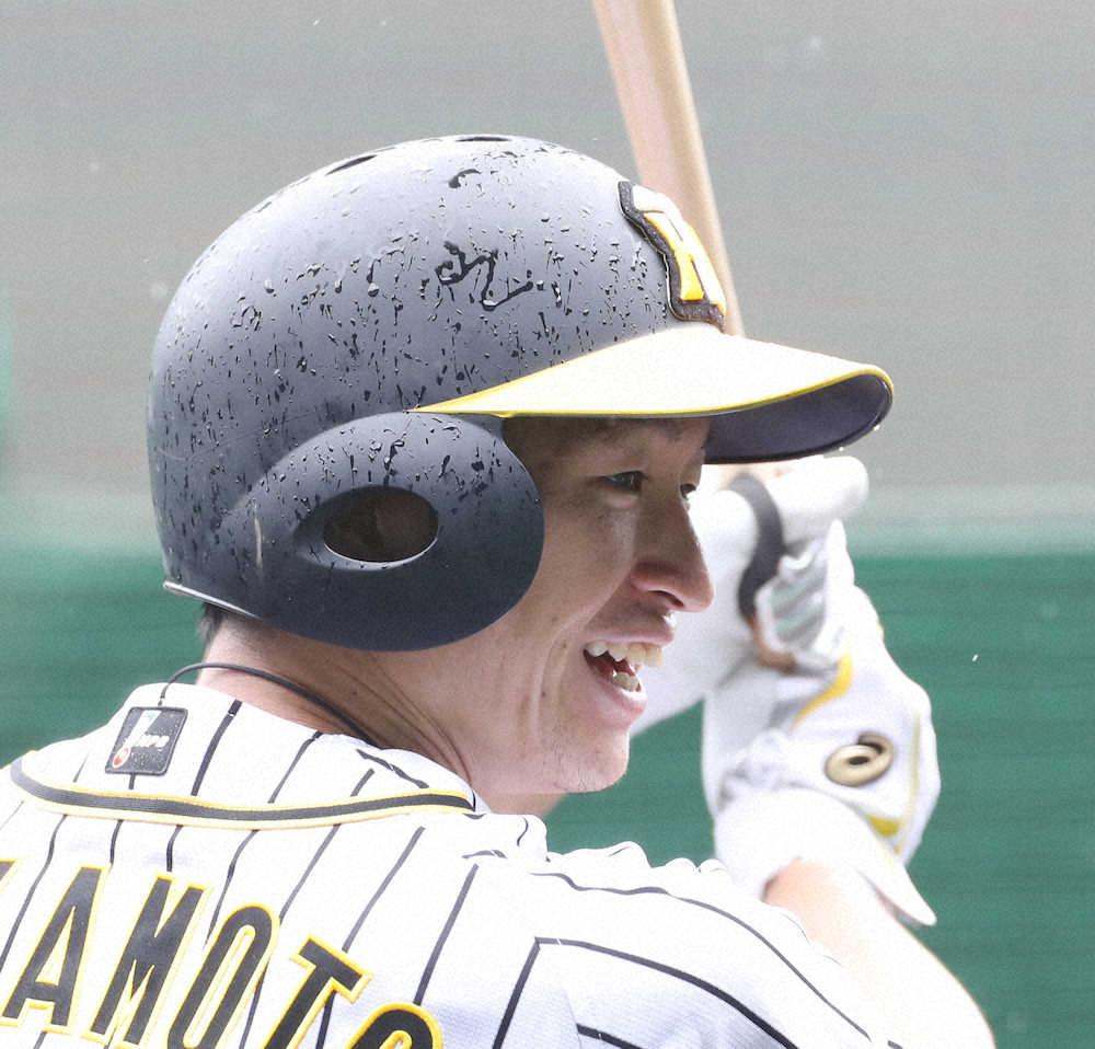 【画像・写真】小雨の降るなかティー打撃をおこなう近本（撮影・大森　寛明）　　