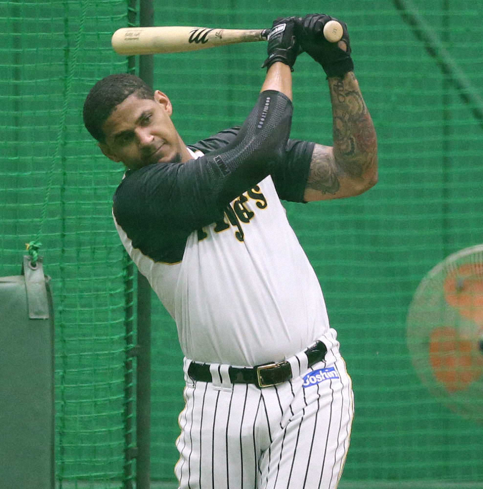 【画像・写真】阪神、マルテ&ソラーテ併用ある！清水ヘッド「MSツイン砲」に期待