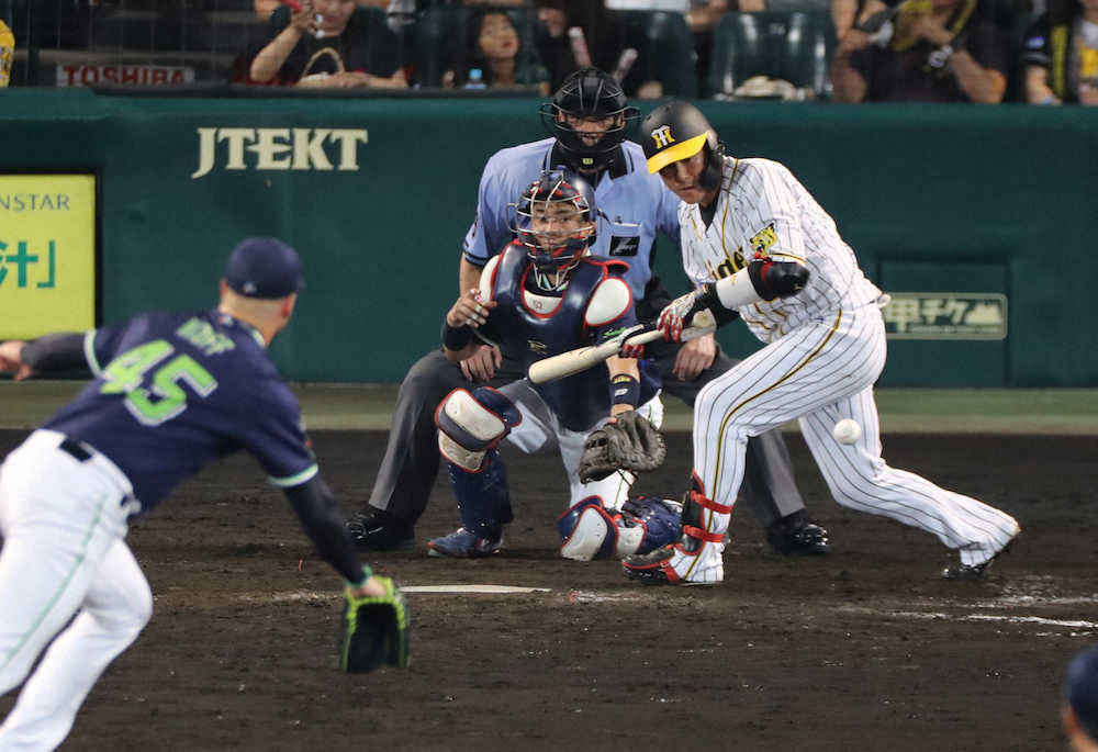 【画像・写真】9回無死二塁、陽川は送りバントを決める（撮影・大森　寛明）