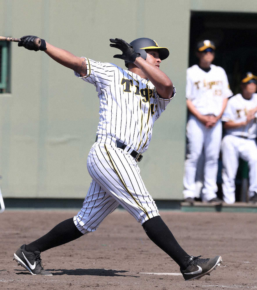 【画像・写真】阪神ソラーテ、実戦デビューで存在感　無安打も2四球2打点　遊撃守備も軽快