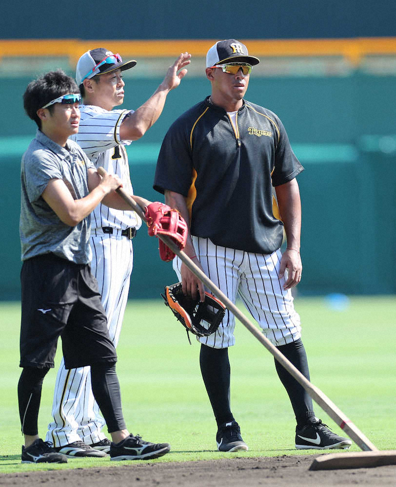 【画像・写真】阪神　甲子園デビューのソラーテは「2番・遊撃」