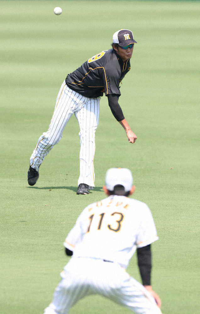 【画像・写真】【1日の予告先発】阪神・藤浪VS中日・ロメロ