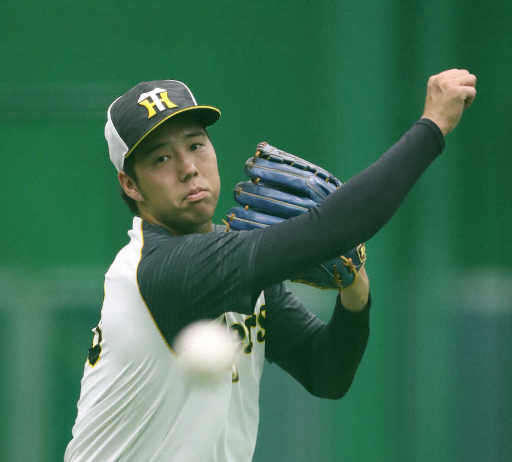 【画像・写真】阪神・青柳“西流”で夏乗り切る　体調見て練習量調整