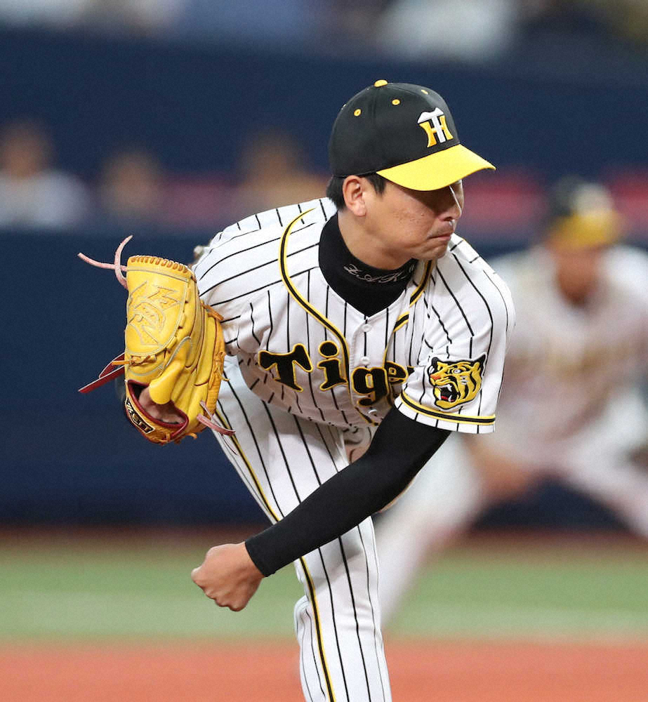 【画像・写真】4番手で登板した岩崎（撮影・坂田　高浩）