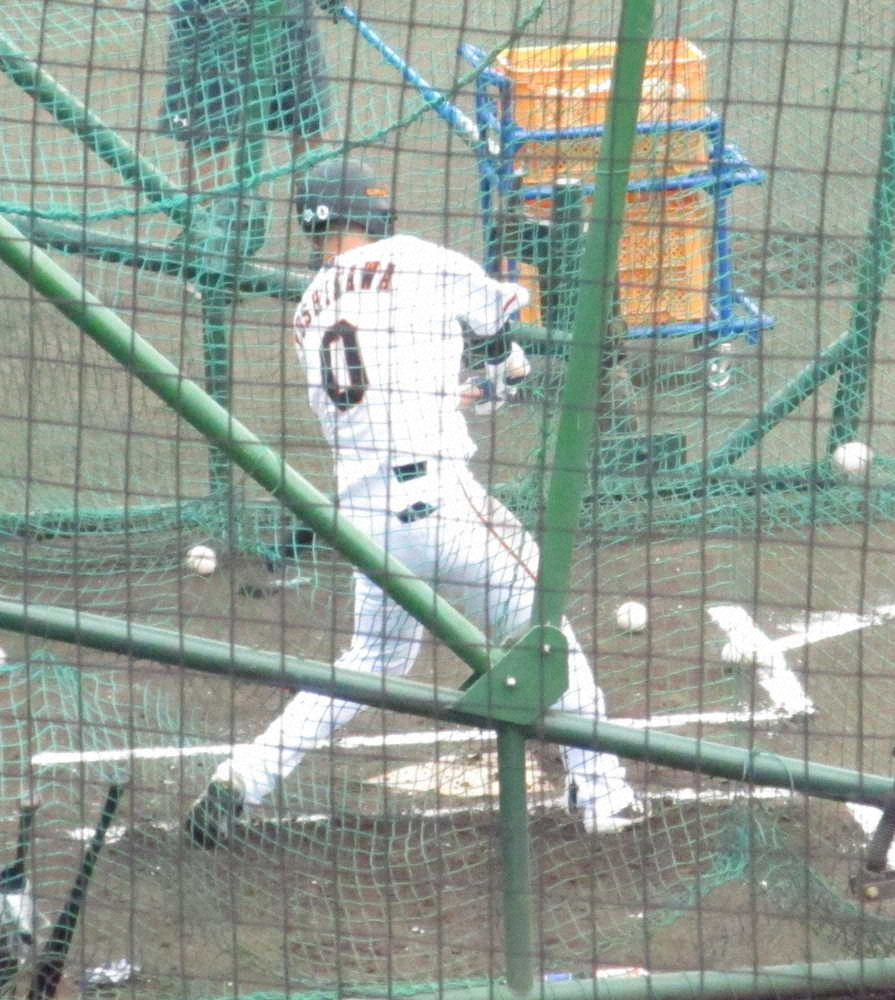 【画像・写真】巨人・吉川尚　フリー打撃で69スイング「もう少し強い打球を」