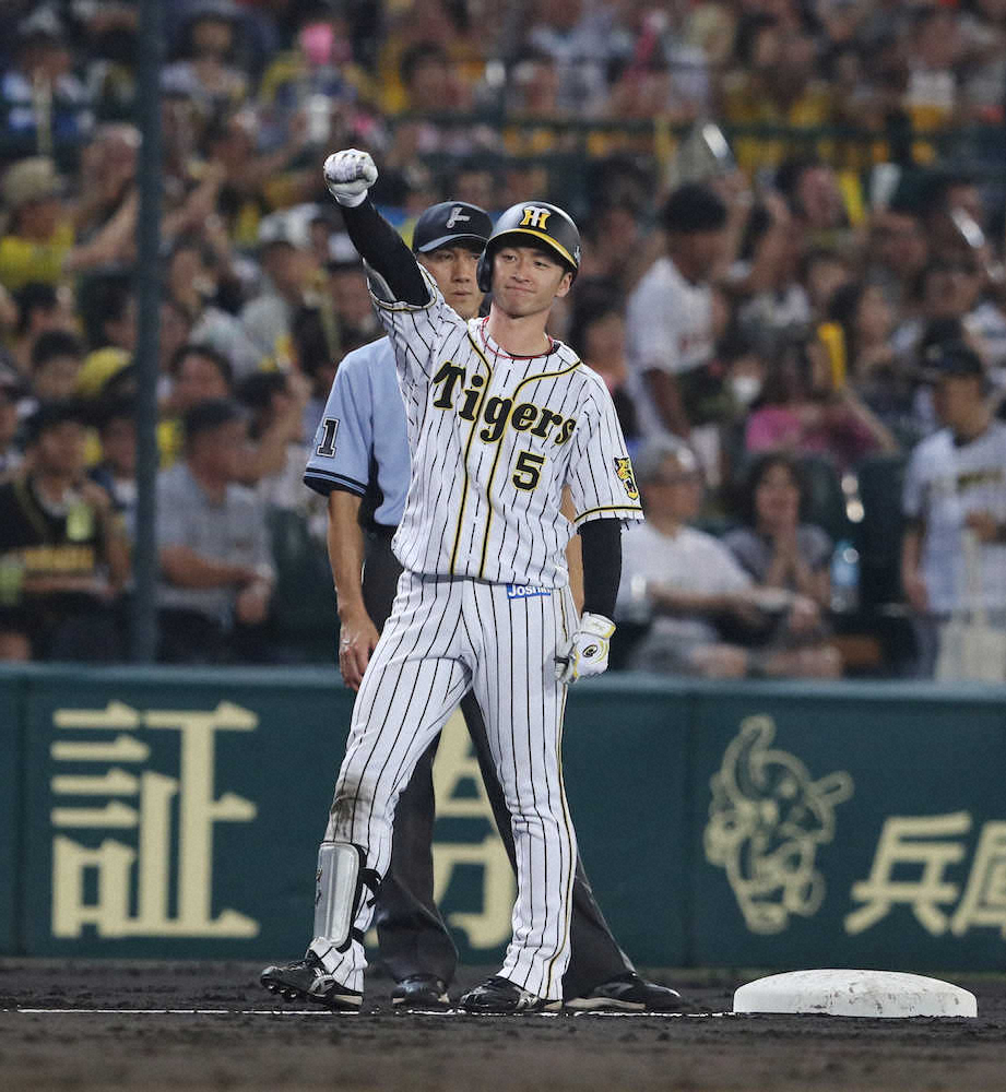 【画像・写真】阪神、巨人に連勝！岩貞6回無失点で5カ月ぶり2勝目　ジョンソンが好救援