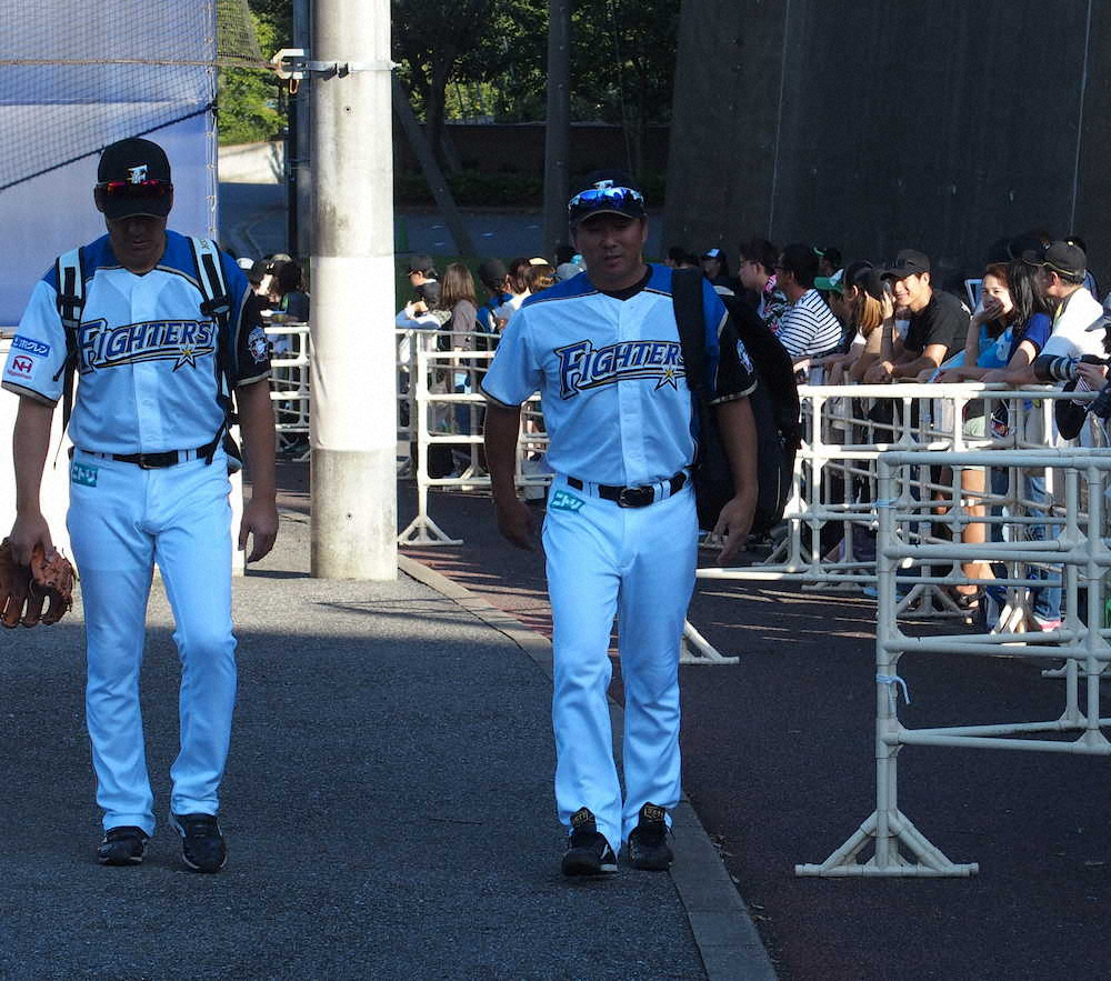 【画像・写真】松坂世代また1人…日本ハム・実松が引退「これが自分の限界と感じた」　