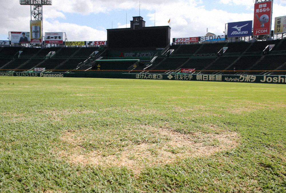 【画像・写真】【内田雅也の追球】甲子園に約した再会――日本シリーズ進出を誓った阪神
