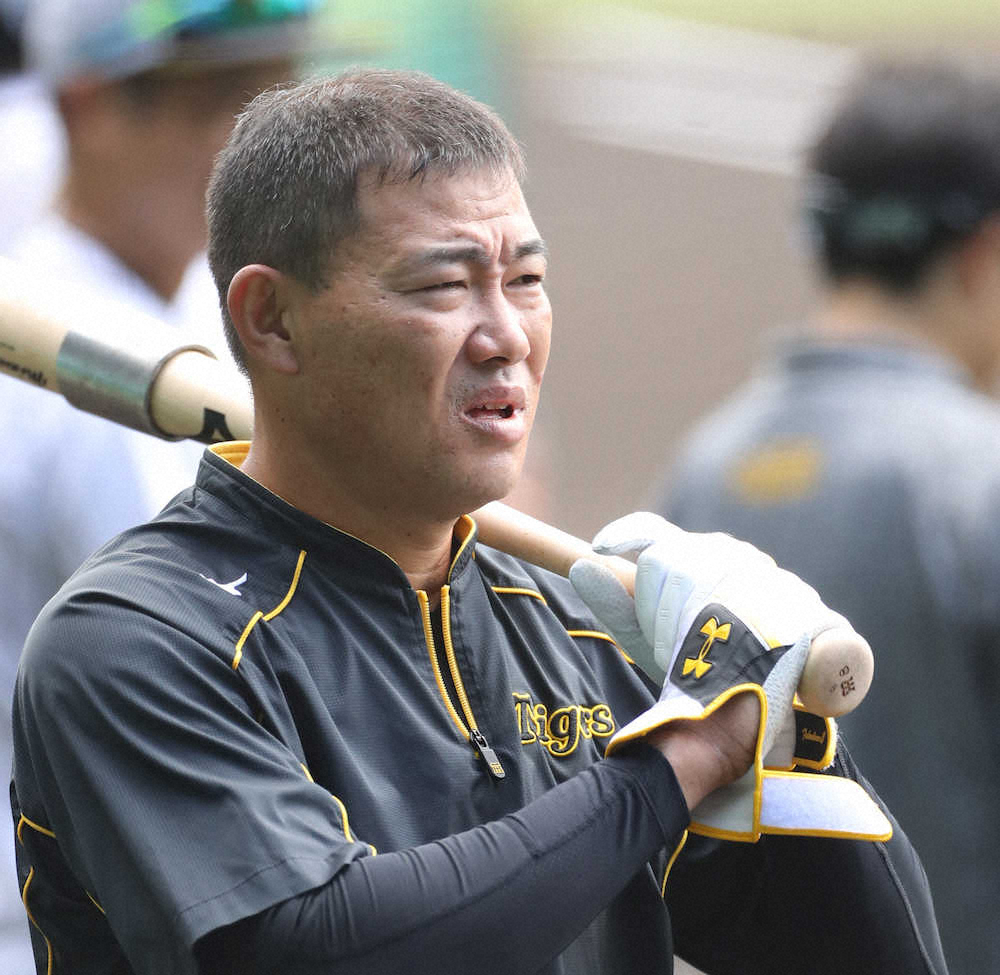 【画像・写真】阪神・福留、短期決戦へ自然体「6連勝した時の気持ちをみんなが持てば良い」