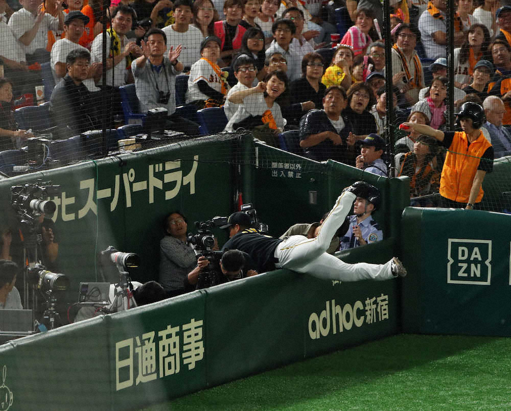 5回1死 丸の打球を追い 三塁カメラマン席に飛び込む大山 撮影 木村 揚輔 スポニチ Sponichi Annex 野球