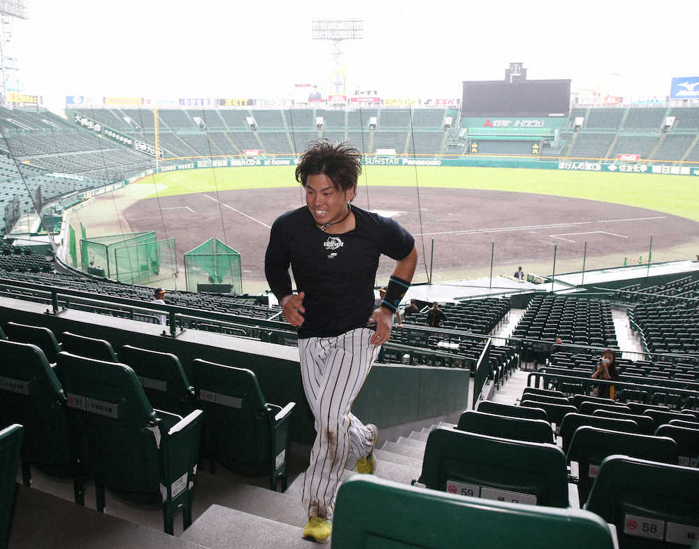 【画像・写真】阪神・梅野　ナショナルズ捕手の“壁”に刺激