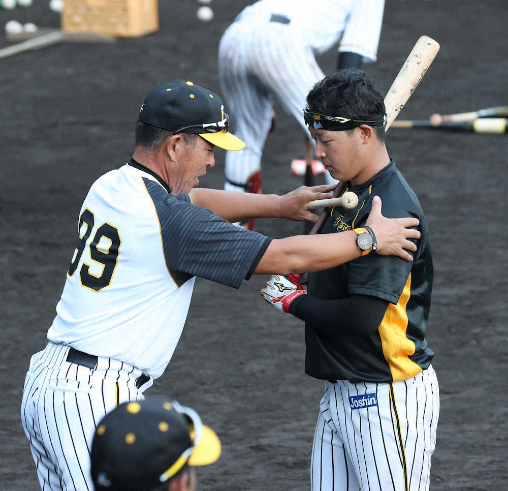 【画像・写真】阪神・大山、4番奪回へチャレンジの秋！初日から志願の早出守備＆居残り打撃