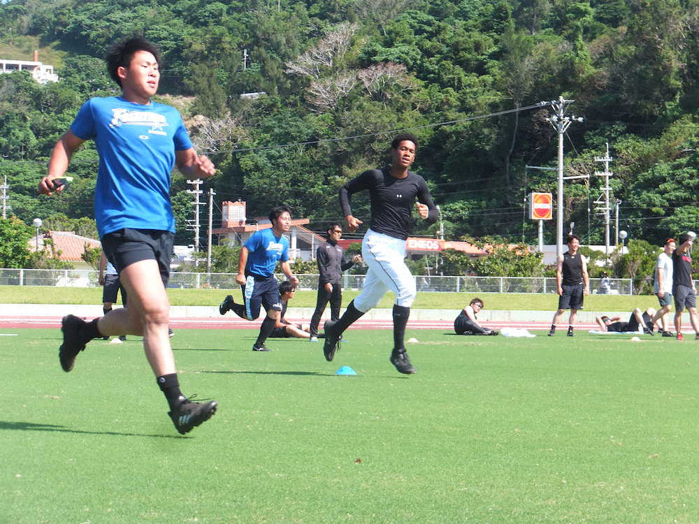 【画像・写真】日本ハム　国頭キャンプ恒例シャトルラン、野手最年長の杉谷「下半身パンパン」
