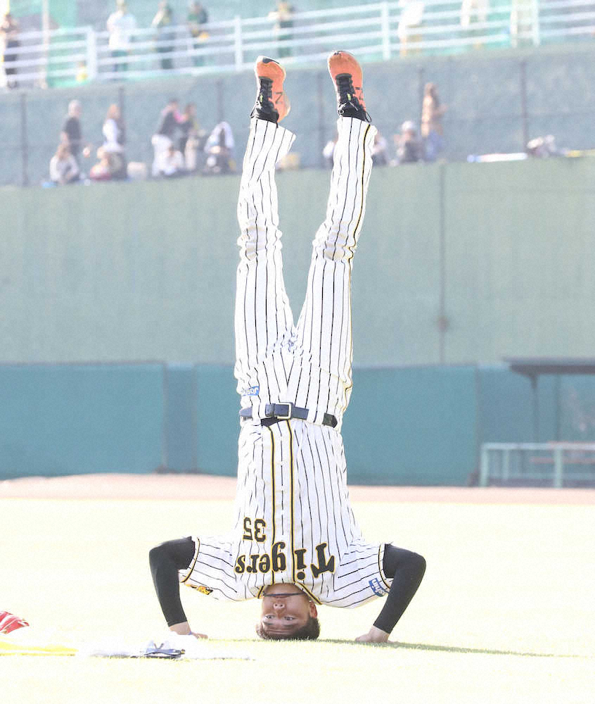 【画像・写真】阪神・才木“マサ部屋”訪問へ　右肘痛でリハビリ中も「この期間しか聞けない」