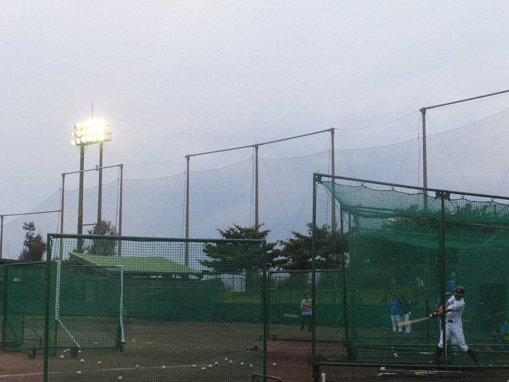沖縄・国頭の秋季キャンプでナイター照明が点灯する中で打撃練習を行う日本ハム・西川