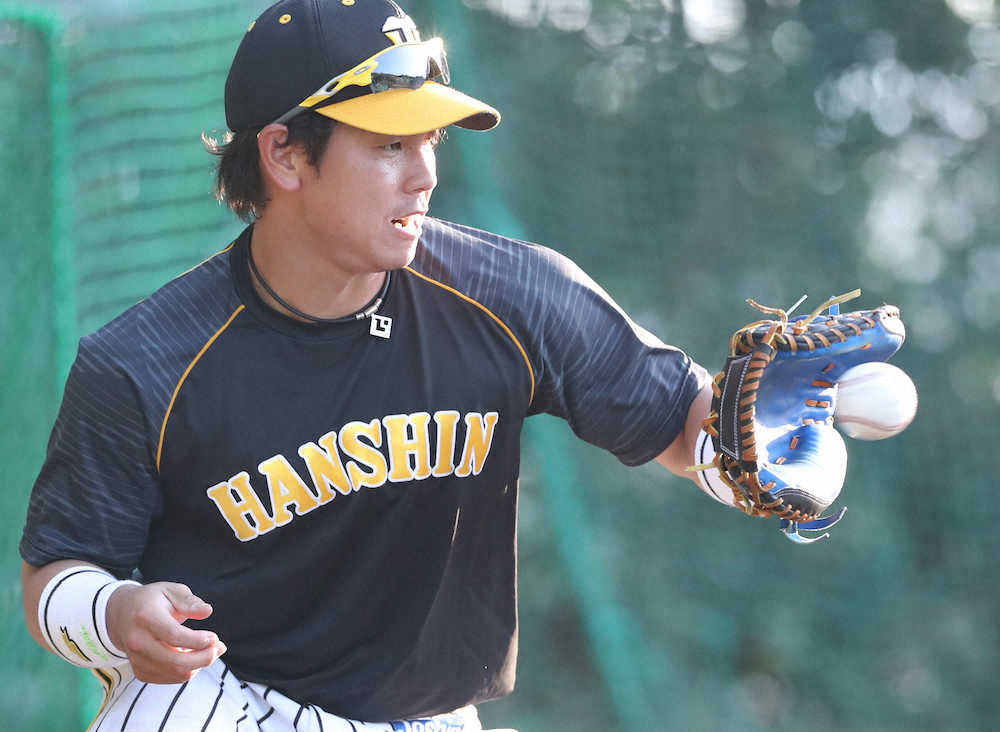 【画像・写真】阪神　梅野　3年連続目指し“相棒”の改良に着手「狭い方がいい」