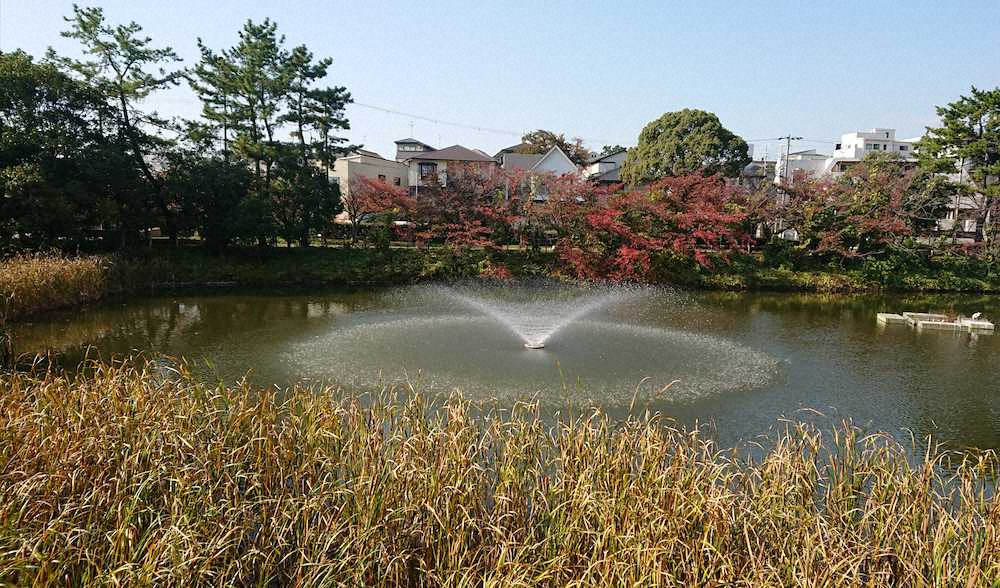 【画像・写真】現在の片鉾池