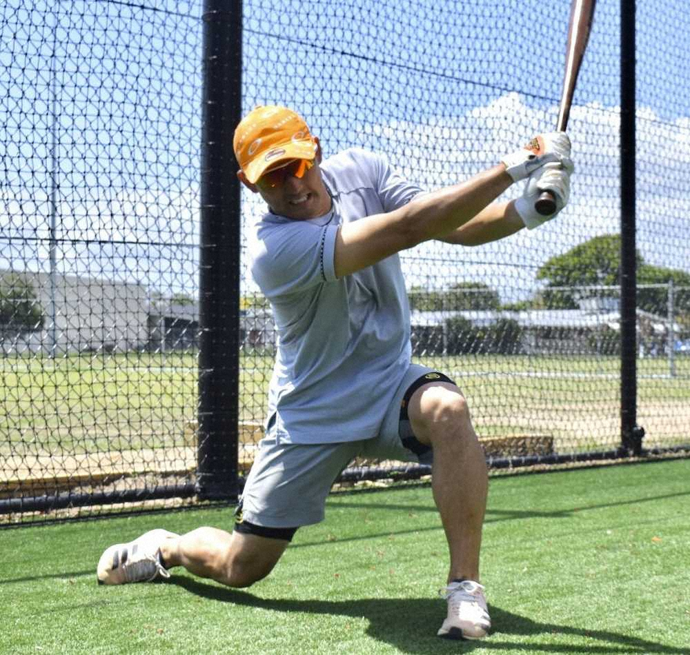 【画像・写真】日本ハム・杉谷、自主トレ先の豪州森林火災に義援金「人ごとではない」