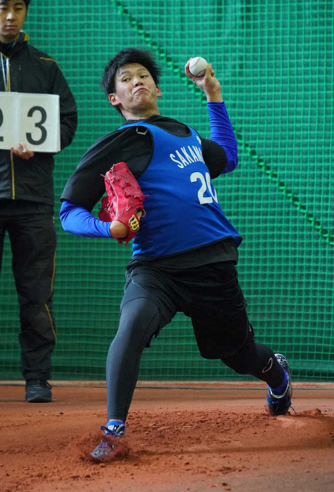 【画像・写真】DeNAドラ2・坂本　立命大の先輩・東の再来だ！フォームそっくり　大卒投手即活躍の伝統継ぐ