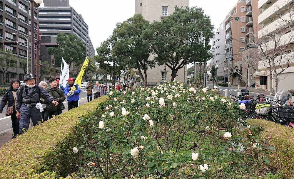 【画像・写真】【内田雅也の追球】被災地を歩いて思う