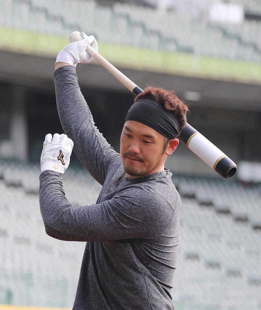 【画像・写真】ほっともっと神戸で自主トレ公開しティー打撃に汗流すT-岡田（撮影・後藤　正志）