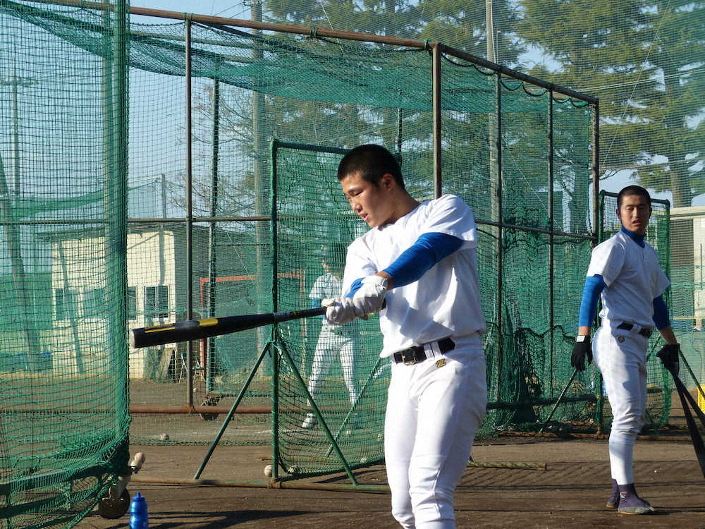 【画像・写真】花咲徳栄　帝京と6枠目争う　高校通算47発の井上「恩返しを」