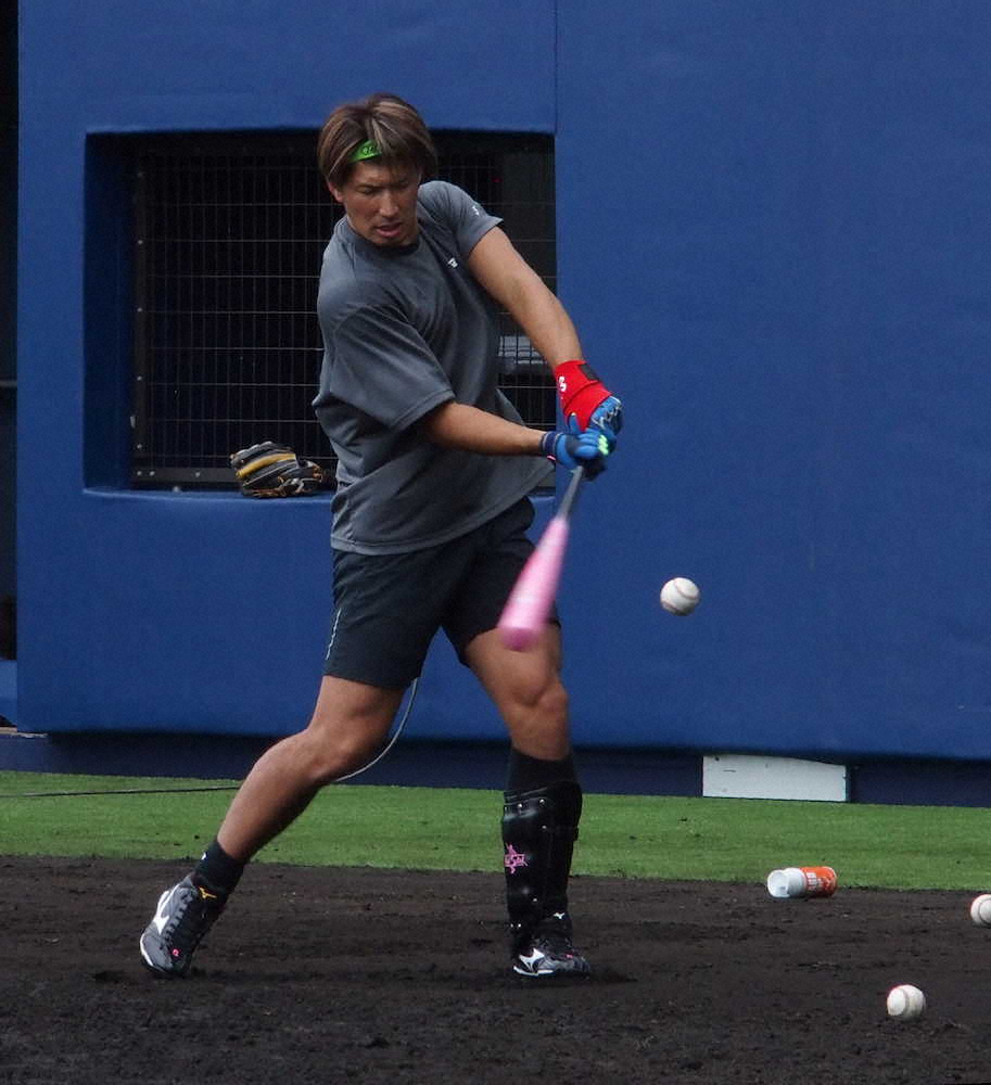 【画像・写真】リーグ最少脱出へ　日本ハム・大田　中田＆ビヤヌエバと30発トリオに！「得点も増やせる」