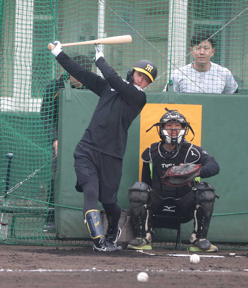 【画像・写真】阪神　近本らがキャンプ地・宜野座の小学校訪問、引退後は淡路島でゆっくり過ごす！？