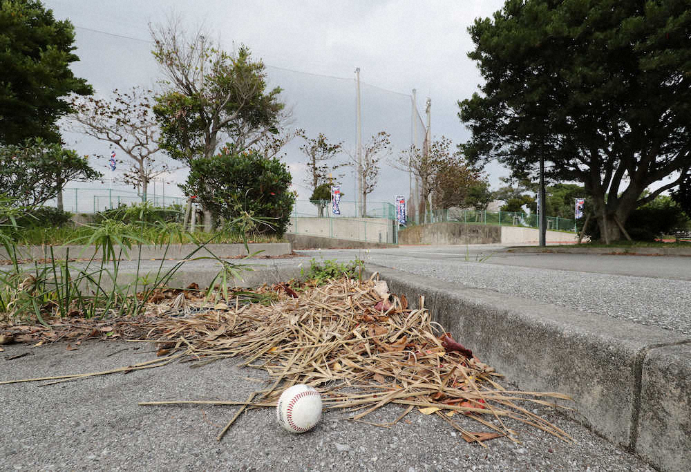 【画像・写真】中日ドラ1・石川昂　場外弾2発！衝撃の屋外フリーに大島＆平田ビックリ