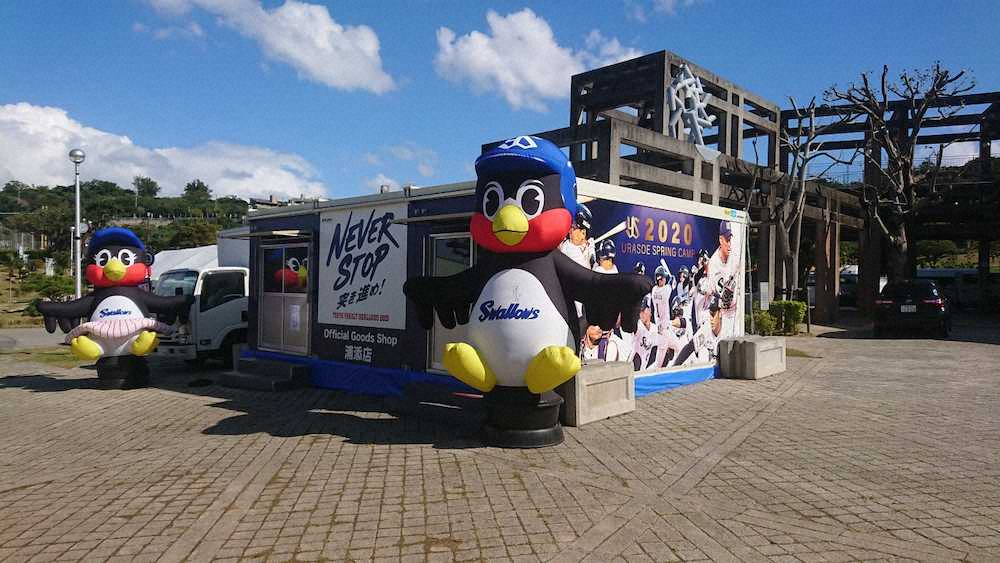 【画像・写真】ヤクルト　キャンプ地ANA　BALL　PARK浦添に公式グッズショップ　奥川グッズも