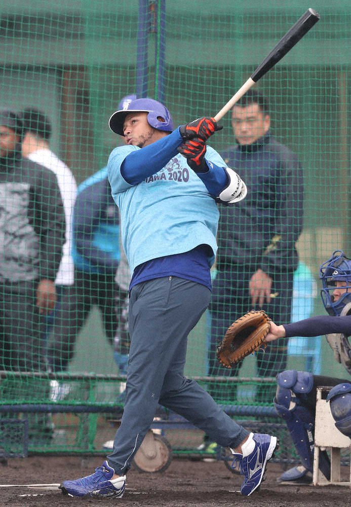 【画像・写真】フリー打撃でフリー打撃でサク越え弾を放つシエラ（撮影・椎名　航）