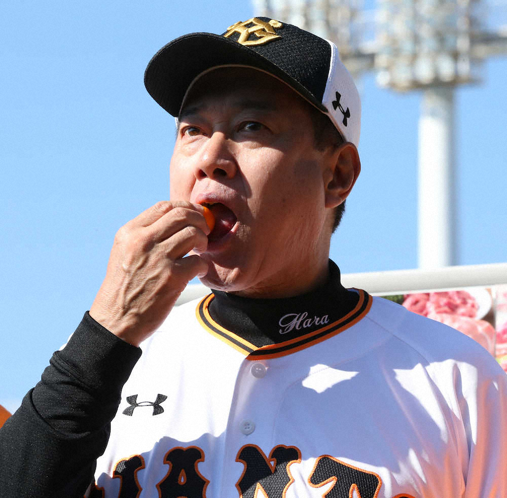 【画像・写真】贈られたきんかんにかぶりつく原監督（撮影・森沢裕）