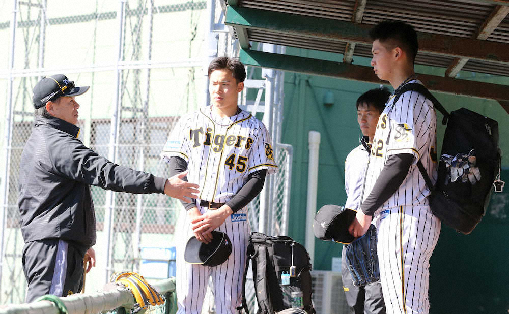 【画像・写真】阪神ドラ2・井上　和田TAから金言「得られるものは全て得たい」