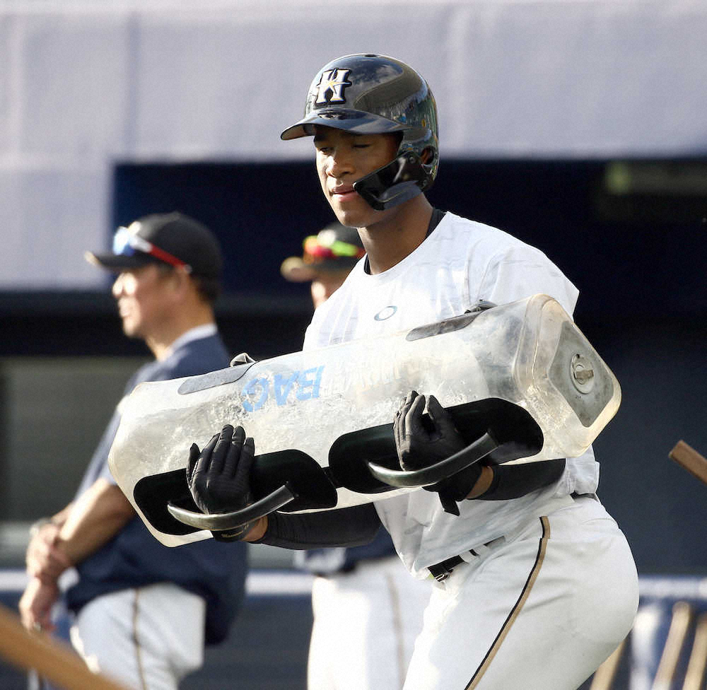 【画像・写真】日本ハム・万波　“吉兆”のド派手フリー!初球空振りからの逆方向8発