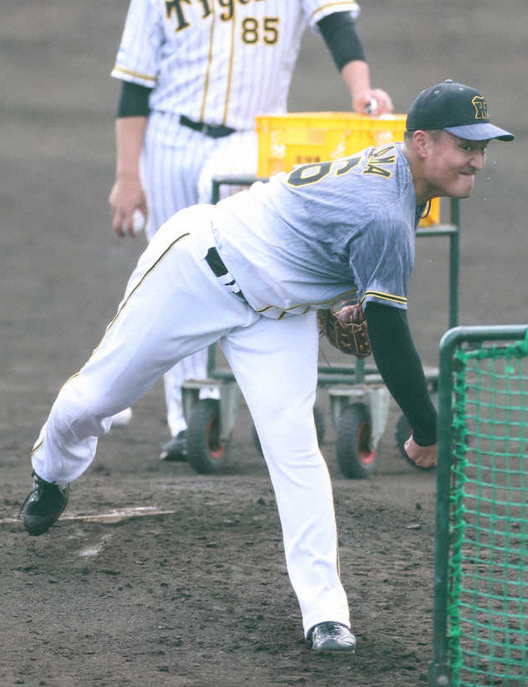 【画像・写真】阪神　秋山　対外試合初戦の先発濃厚　仕上がりの早さをアピール「思ったより良かった」