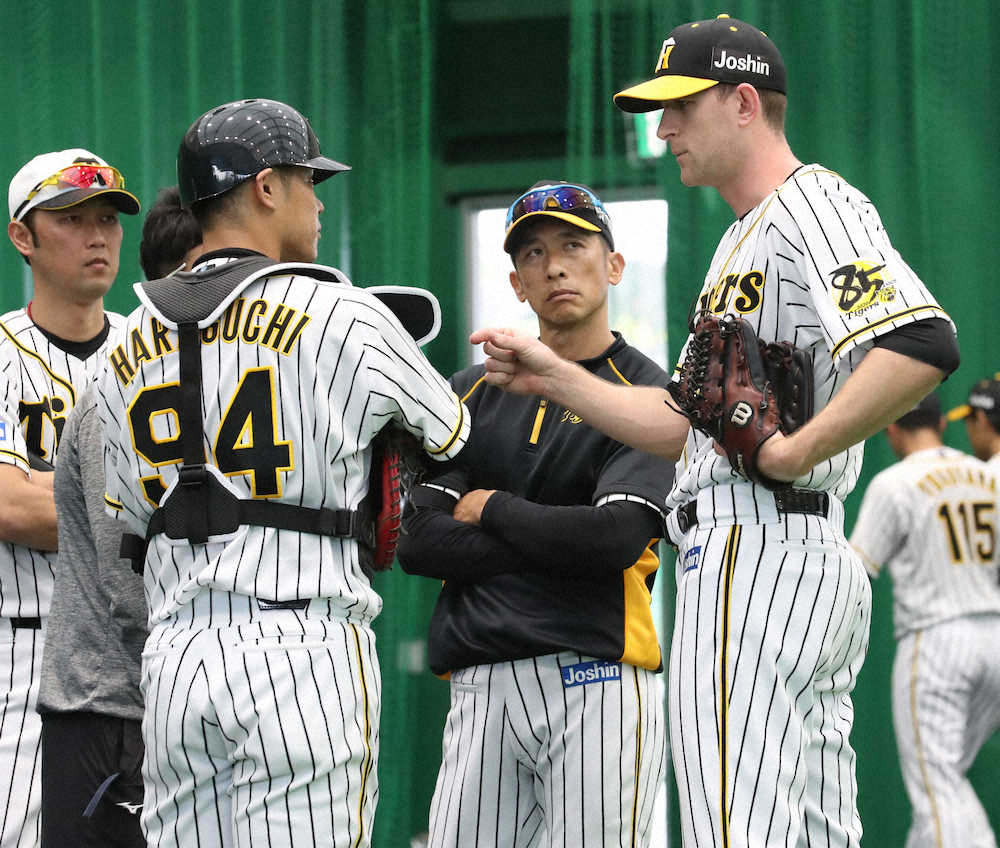 【画像・写真】阪神新助っ人・ガンケルに矢野監督驚き「初日ですごいなという印象」