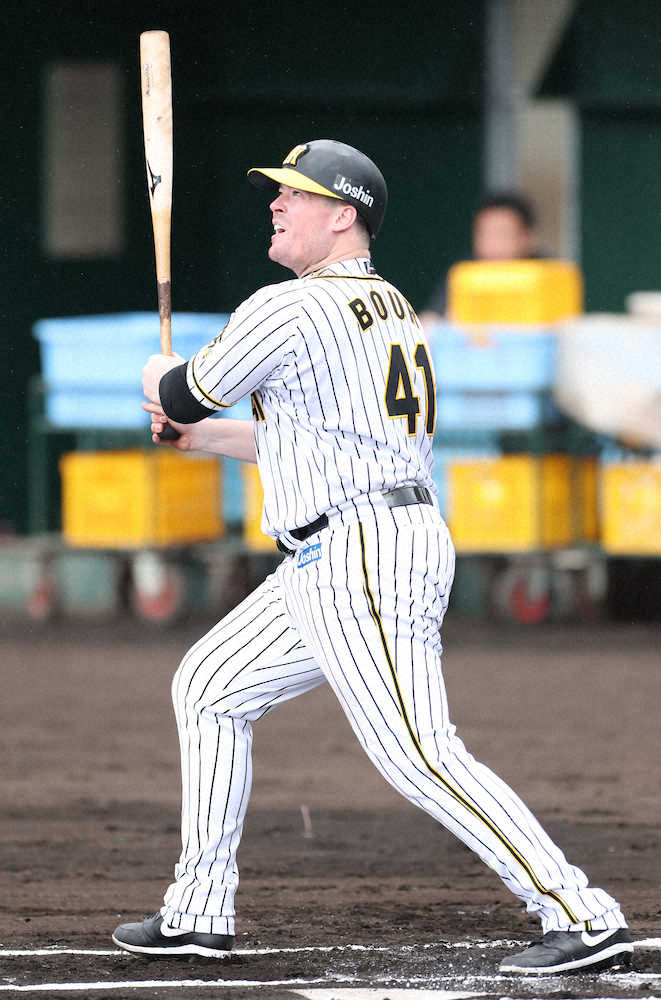 【画像・写真】阪神・ボーア　衝撃の“実戦”デビュー　シート打撃で逆方向への一発