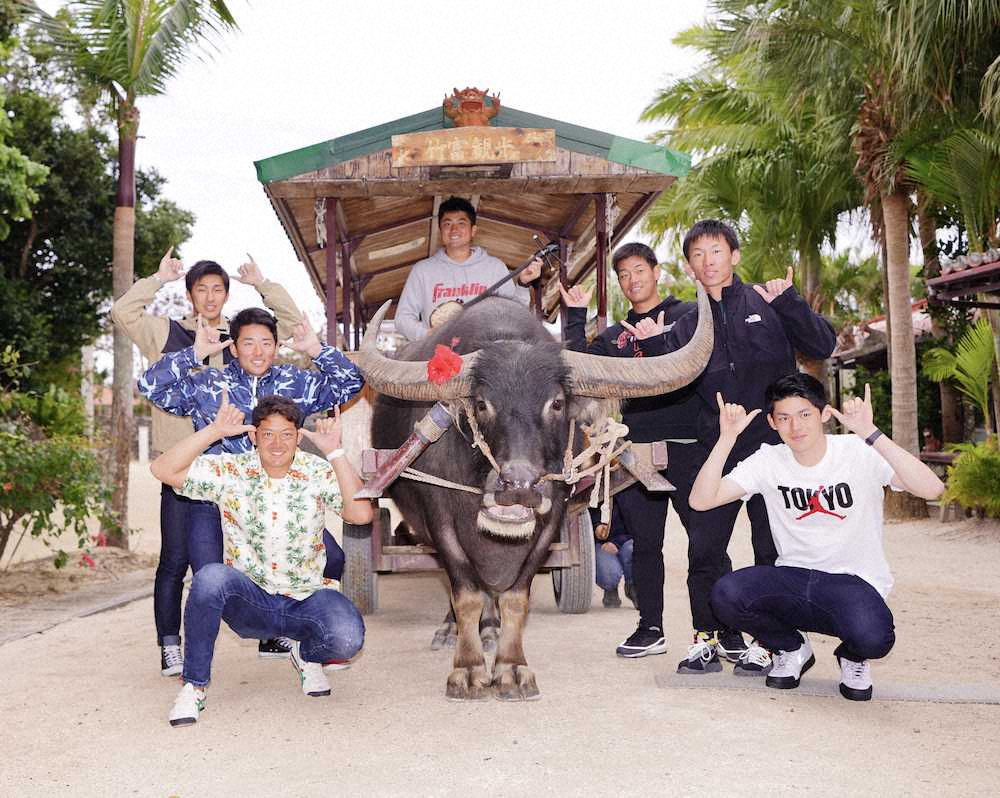 【画像・写真】ロッテ・ドラ1朗希　水牛車を体験「ウン」引き寄せた!?