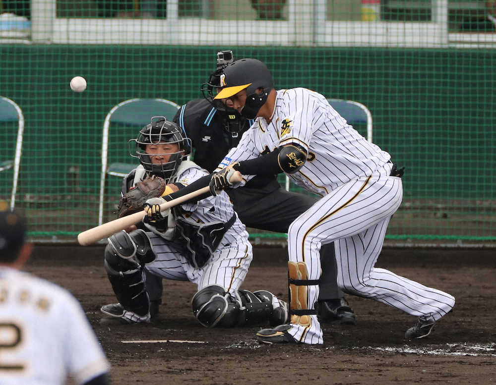 【画像・写真】【内田雅也の追球】無言で強烈な意思表明――阪神・矢野監督、大山にバント指令