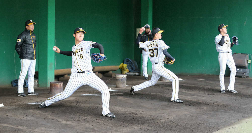 【画像・写真】阪神ドラ3及川がプロ入り後2度目のブルペン入り　前回から修正「指にかかったボールがいった」