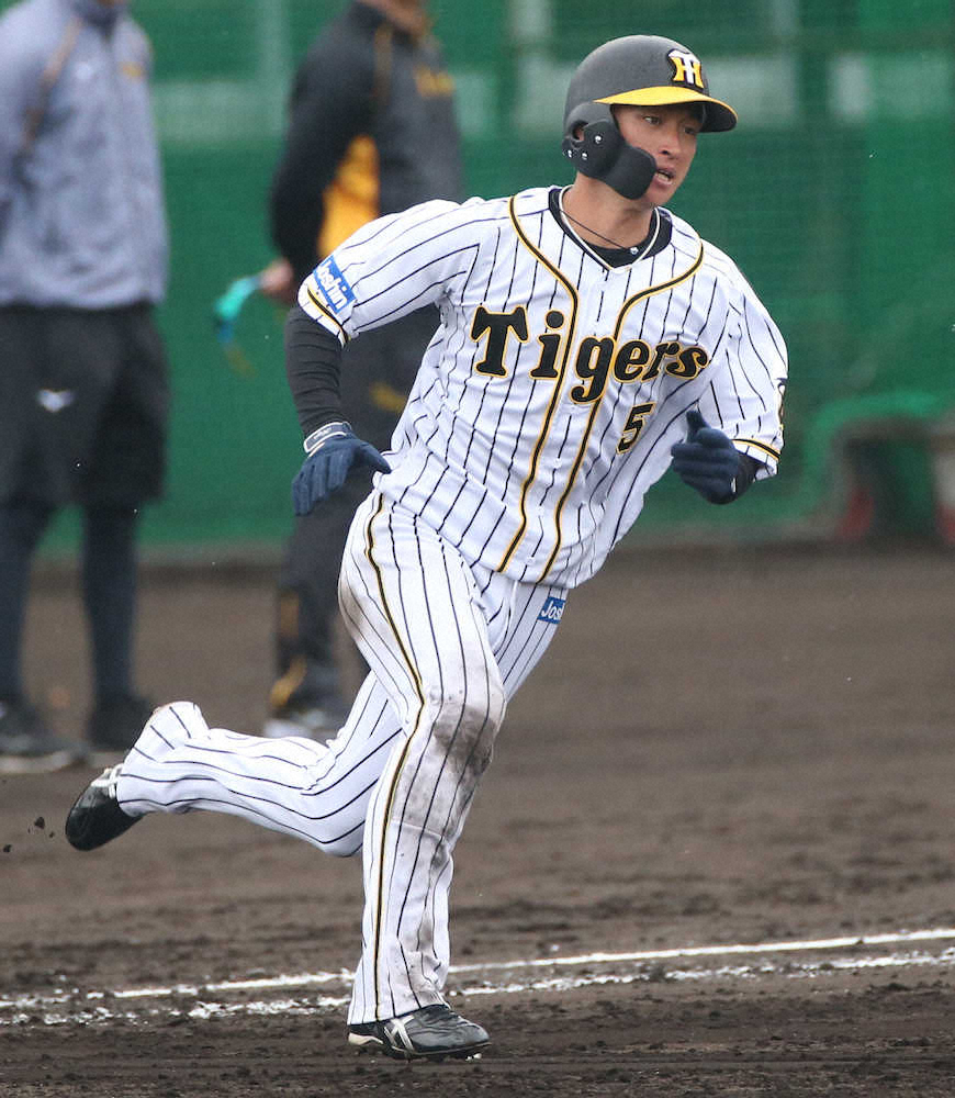 阪神 矢野監督 対外試合 2番 近本 要望 それ以外はコーチに任せている スポニチ Sponichi Annex 野球