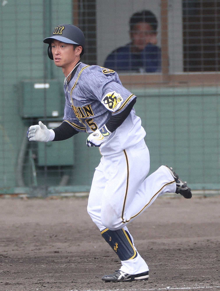 【画像・写真】中日との練習試合の5回無死一、二塁、適時三塁打を放つ近本（撮影・平嶋　理子）　　　　　　　　　　　　　　　　　　　　　　　　　　　　　　　　　　　　　　　　　　