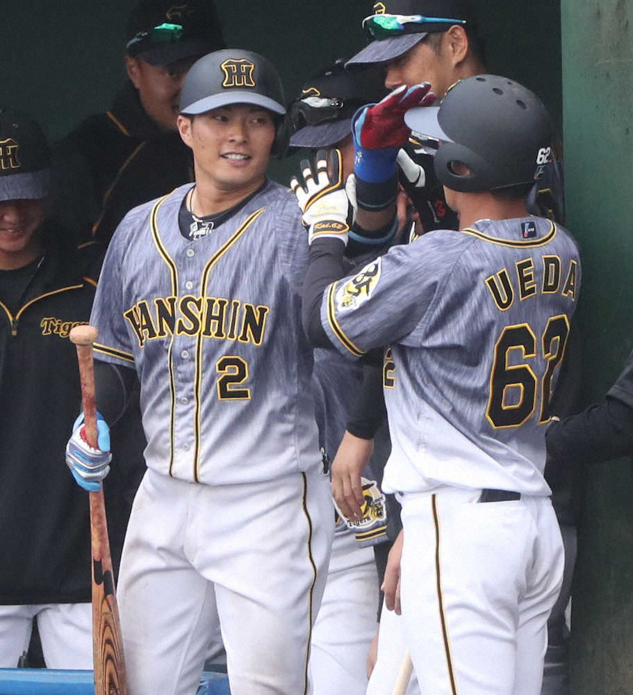 【画像・写真】中日との練習試合の9回1死、勝ち越しの本塁打を放ち、植田のヘルメットを押す北條（左）　（撮影・平嶋　理子）　　　　　　　　　　　　　　　　　　　　　　　　　　　　　　　　　　　　　　　　　　