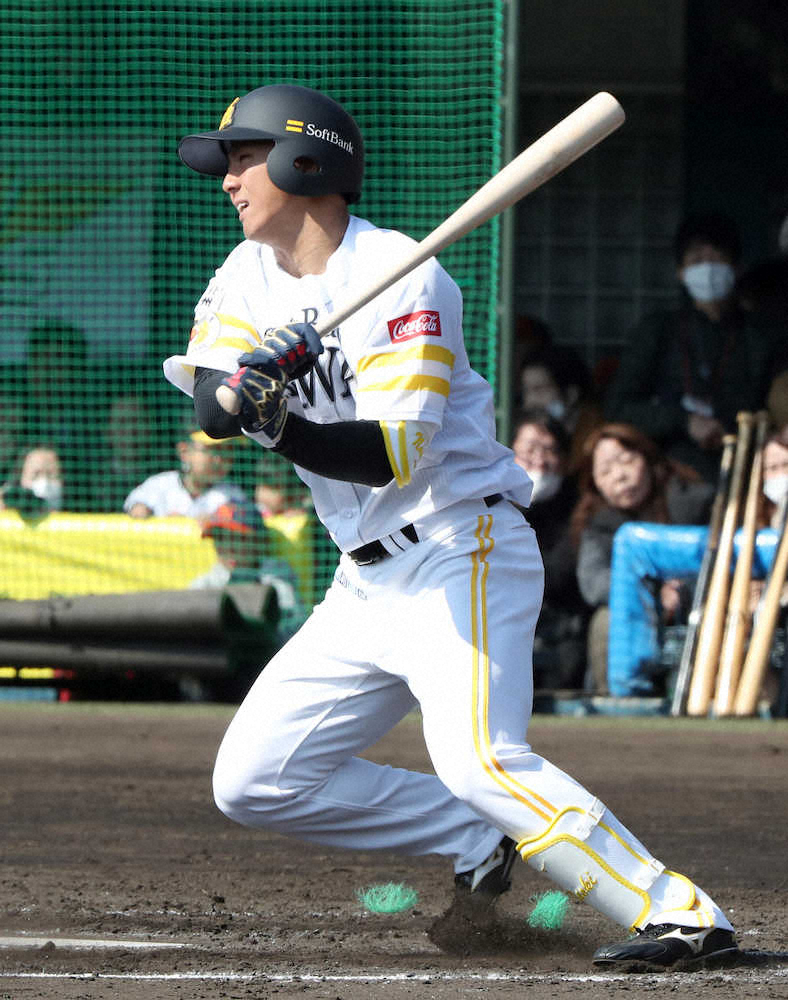 【画像・写真】ソフトBルーキー佐藤＆柳町、実戦シート打撃で初打席初安打　マッチ以来の開幕1軍へ猛デモ