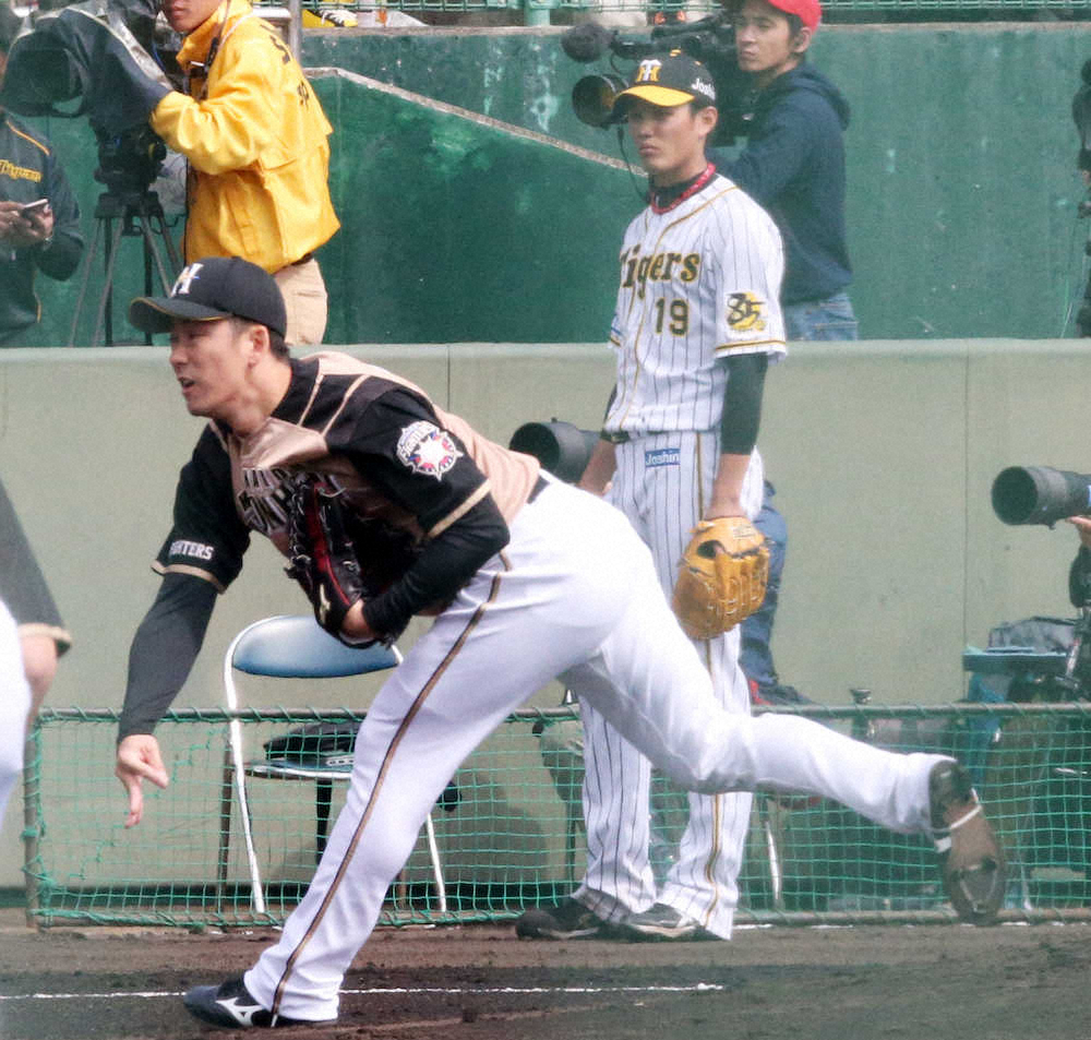 【画像・写真】日本ハム・斎藤　「がむしゃら」4K　新球カーブにも手応え